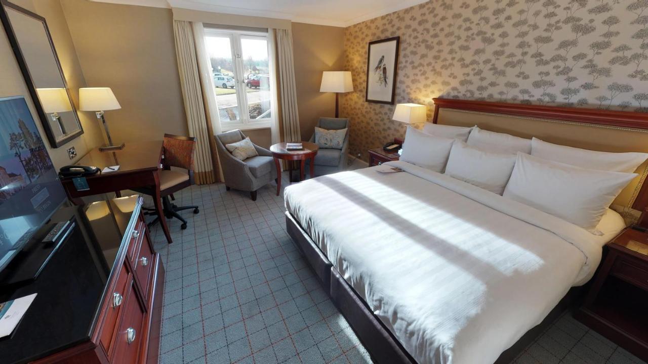 Deluxe King Room,700919722:JPEG